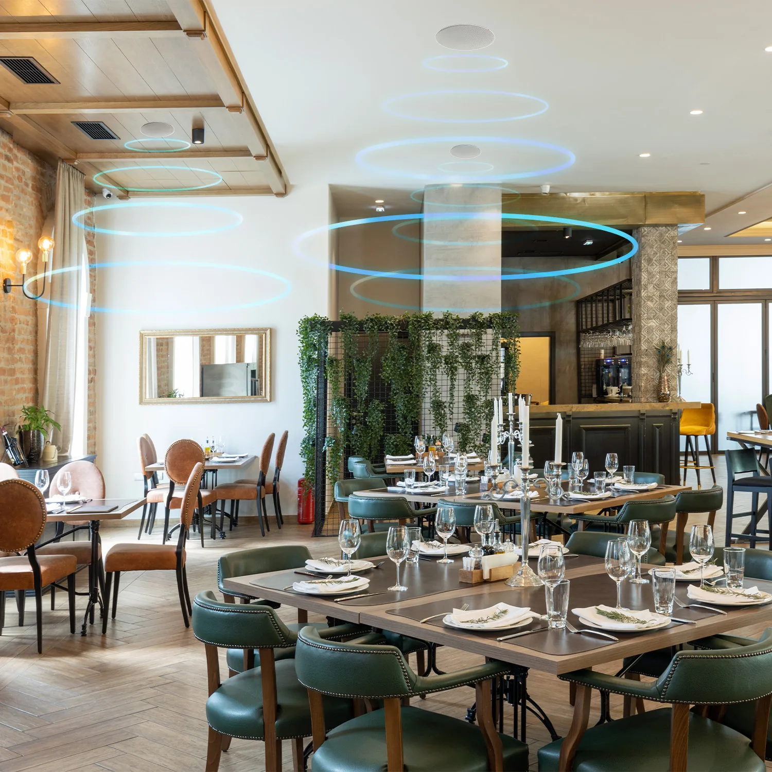 Commercial Restaurant and Retail Audio